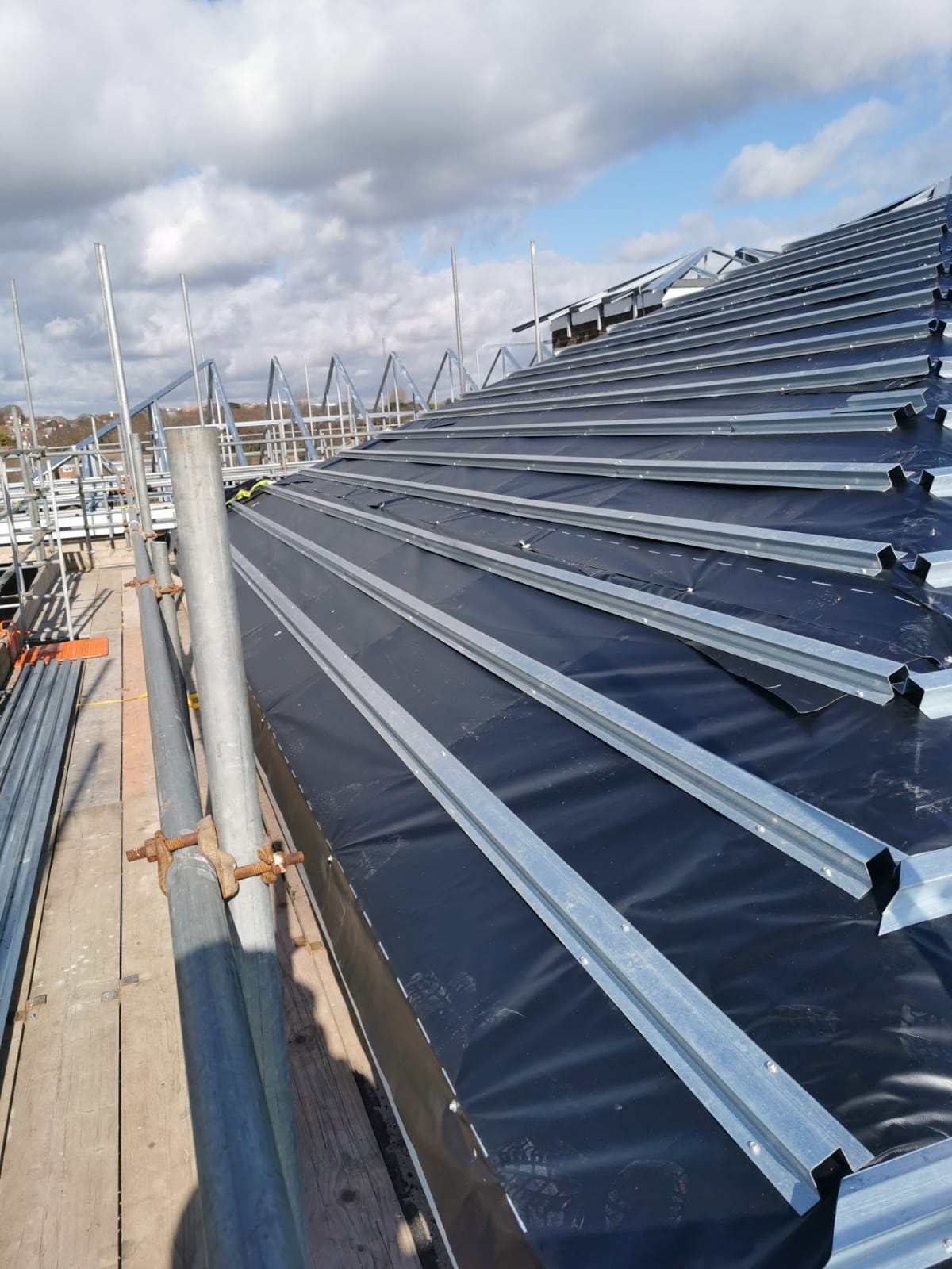 Cobham Towers roof detail